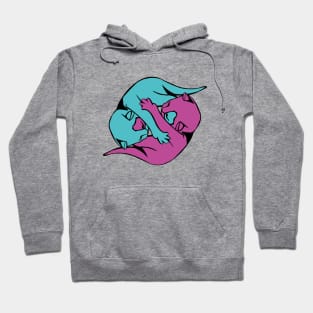 Yin and Yang Kitties Hoodie